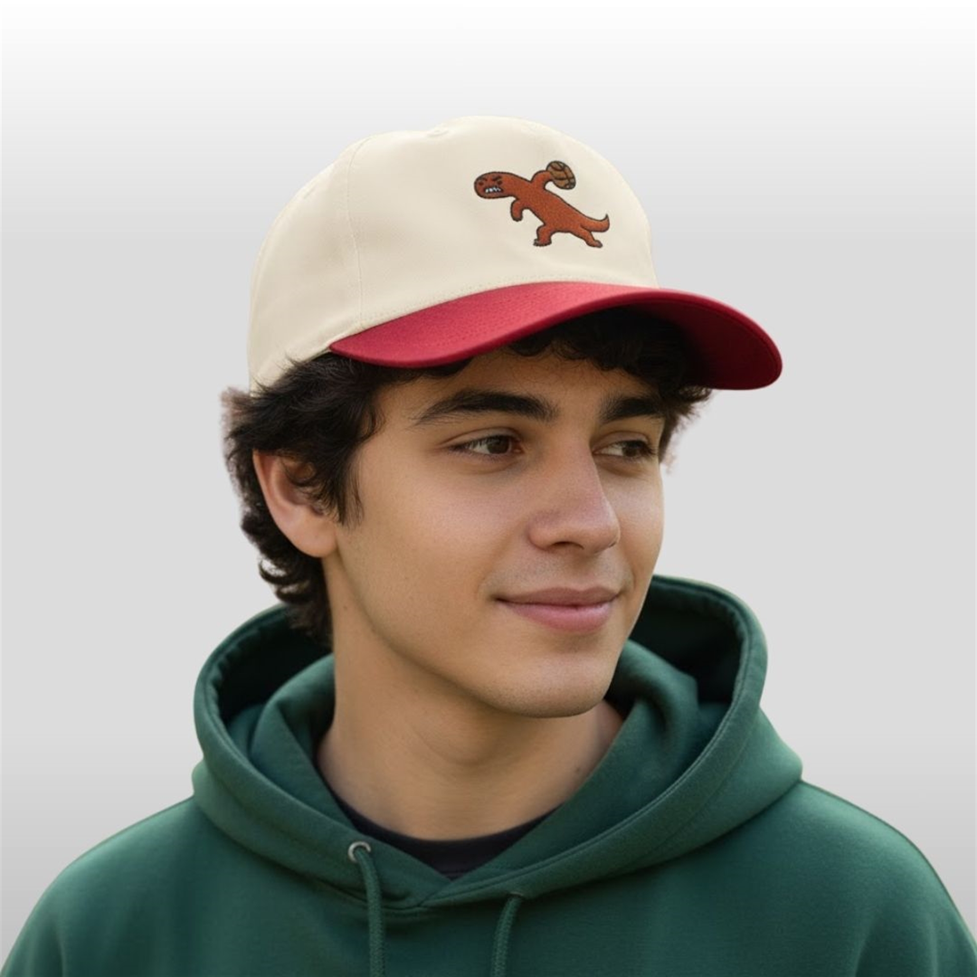 2025-Toronto-Raptors-New-Profile-Meme-Pic-Hat 2025 Toronto Raptors New Profile Meme Pic Hat