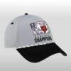 Chicago Bears NFC North Divison Champions Hat