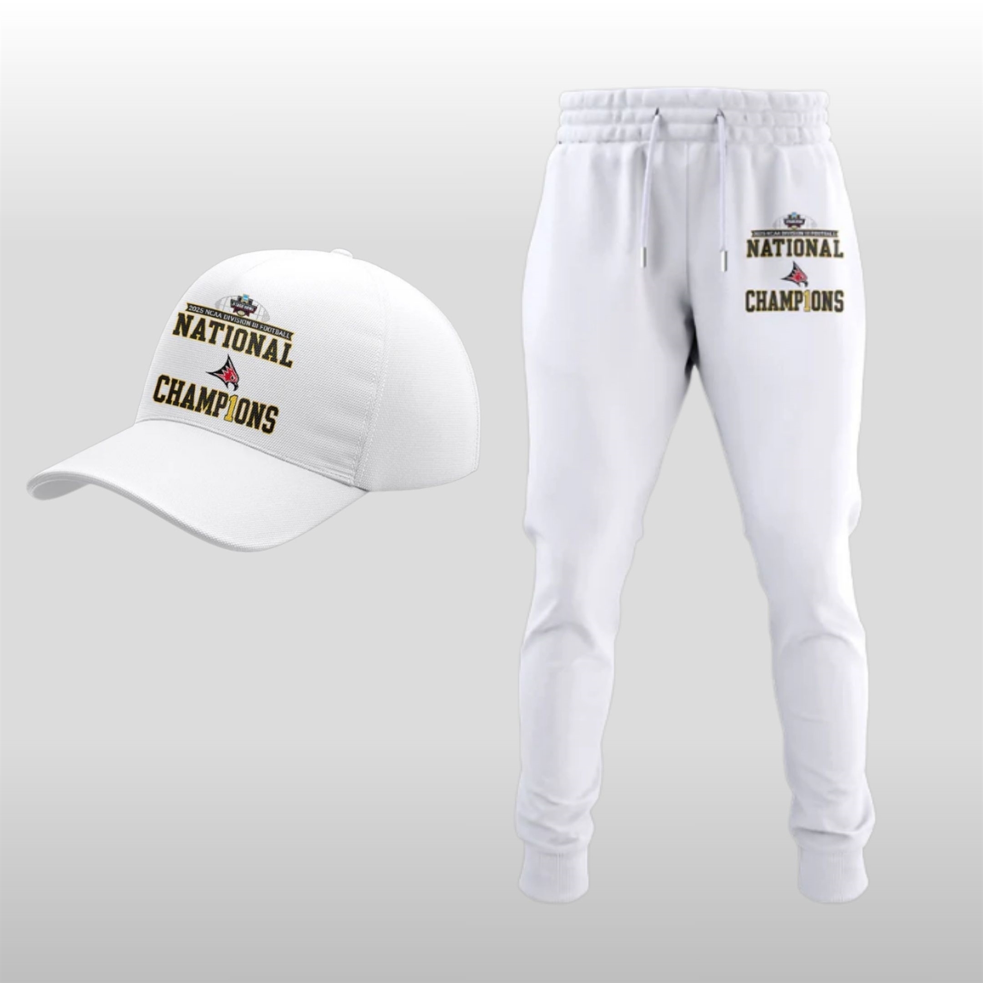 Falcon Football NCAA Division III National Champions Hoodie Shirt Cap Joggers 3 Falcon Football NCAA Division III National Champions Hoodie Shirt Cap Joggers - Image 3