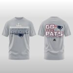 New England Patriots AFC Champions Go Pats Bowl Hoodie Shirt