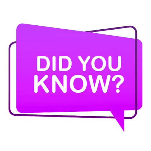 Did You Know Zerelam