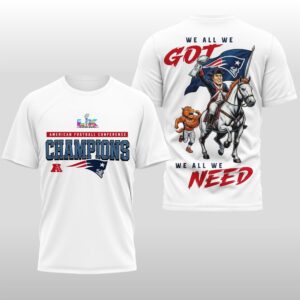 2026 New England Patriots AFC We All We Got We All We Need Shirt