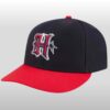 2026 Houston Texans Draft Hat
