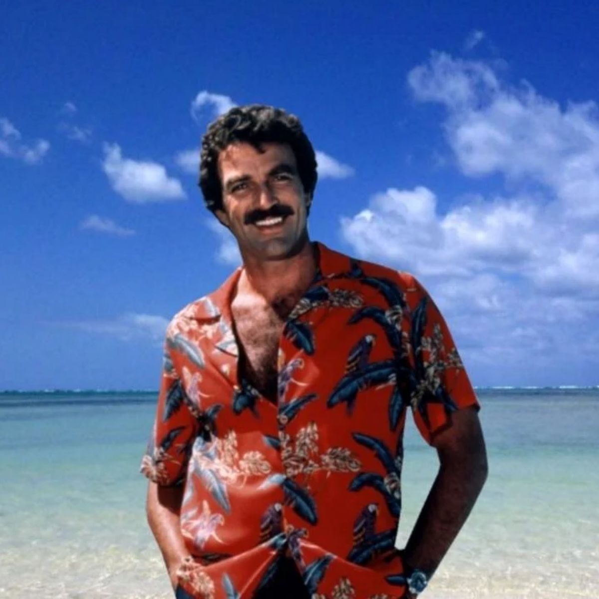 Tom Selleck Magnum Pi Aloha Hawaiian Shirt Tom Selleck Magnum Pi Aloha Hawaiian Shirt