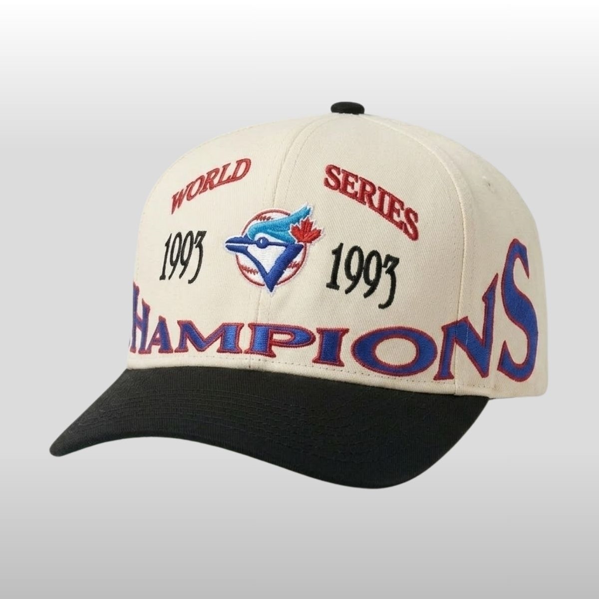 Vladdy 1993 World Series Champions Blue Jays Hat 4