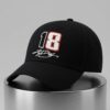 Denny Hamlin number 18 kyle Busch hat 2