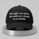 Not Right Now Kitten The Walls Are Closing In On Daddy Hat