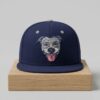 2026 Lehigh Valley Pitties Theme Night Hat