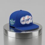 2026 John Geiger LA Dodgers Misplaced Series Hat