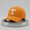 David Gabriel Georges Volunteers Baseball Hat 2