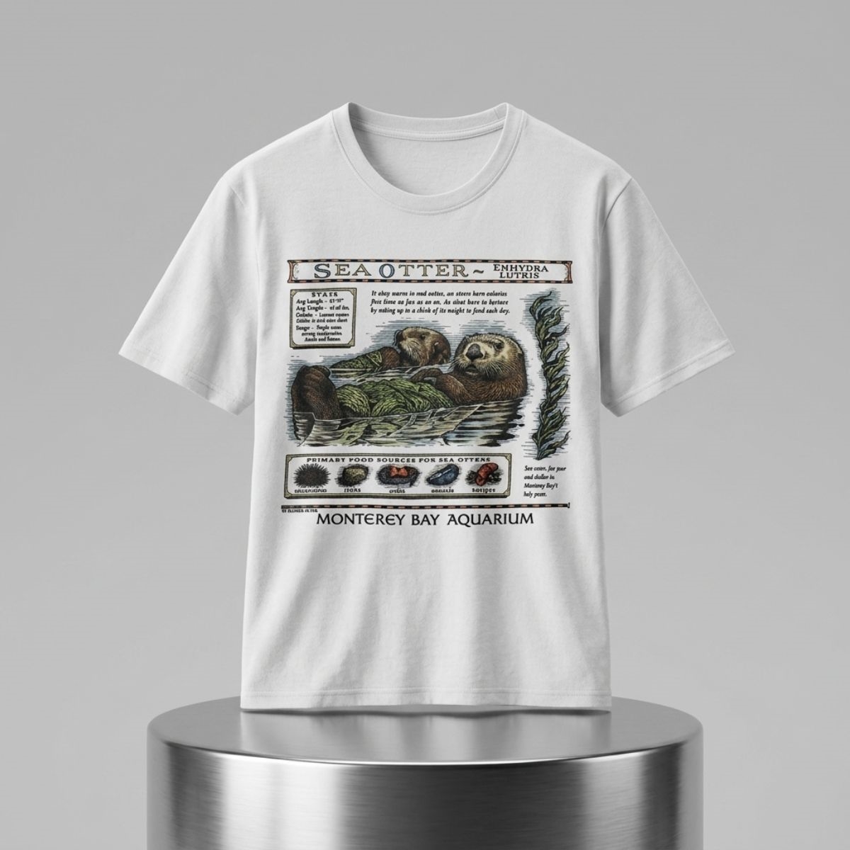 Taylor Swift Monterey Bay Aquarium Otter Shirt 1 Taylor Swift Monterey Bay Aquarium Otter Shirt 2
