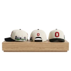 Ohio Sate Side Stadium 2026 Hat