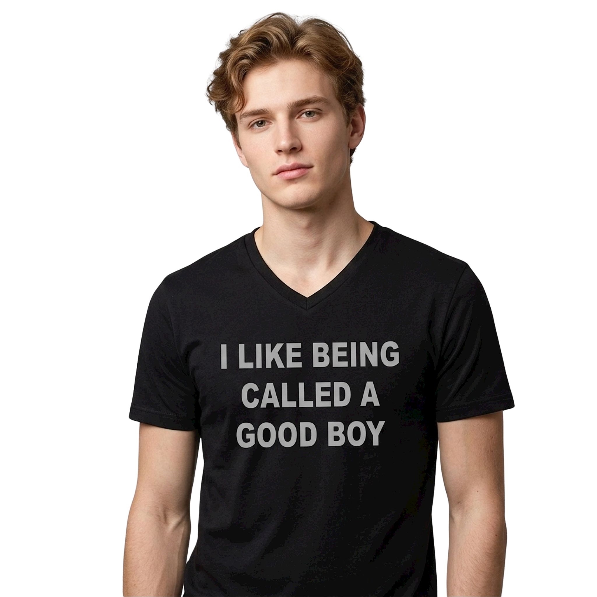 I Like Being Called A Good Boy Shirt 2