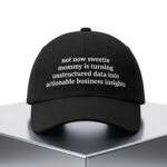 Not Now Sweetie Mommy Is Turning Unstructured Data Into Actionable Business Insights Hat
