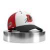 Durham Bulls Carolina Hurricanes 2026 Hat 2