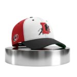 Durham Bulls Carolina Hurricanes 2026 Hat