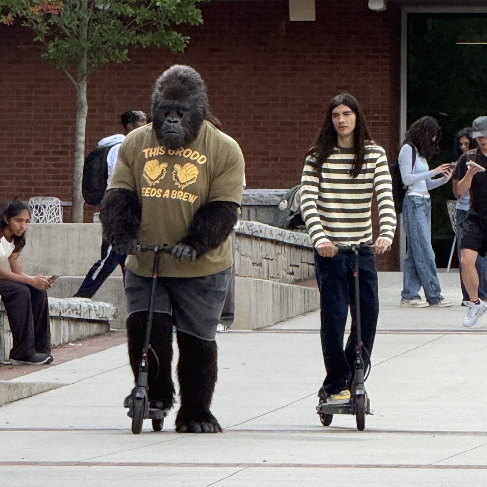 This Grodd Needs a Brew Shirt This Grodd Needs a Brew Shirt