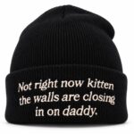 Not Right Now Kitten The Walls Are Closing In On Daddy Beanie Hat